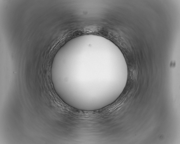 X0000092081393200709121056