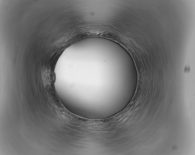 X0000092081394200709121056
