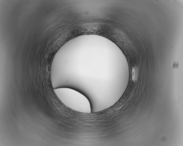 X0000092081395200709121056
