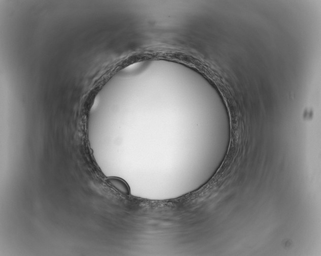 X0000092081397200709121056