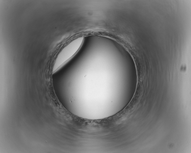 X0000092081398200709121056