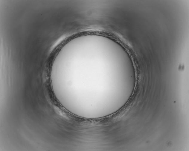 X0000092081400200709121056