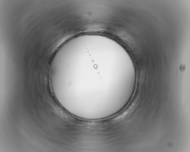 X0000092081401200709121056