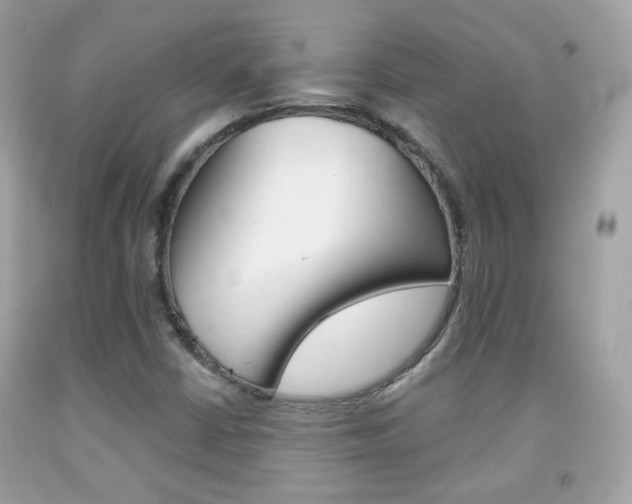 X0000092081402200709121056