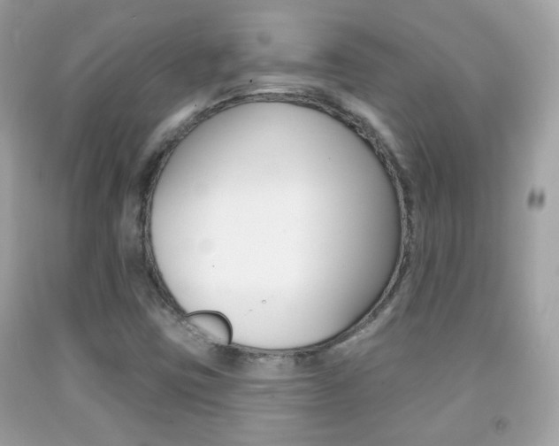 X0000092081403200709121056