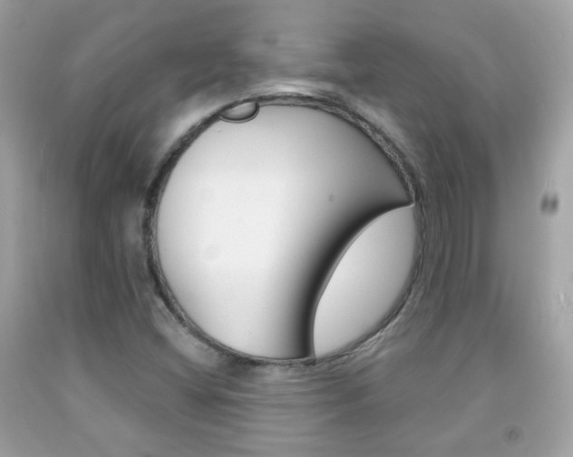 X0000092081404200709121056