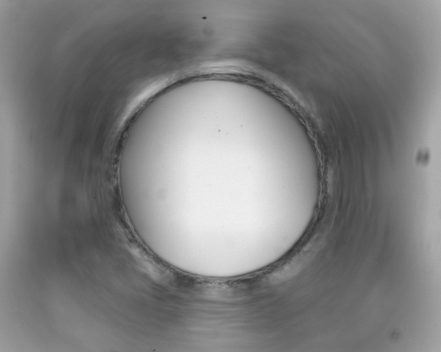X0000092081405200709121056