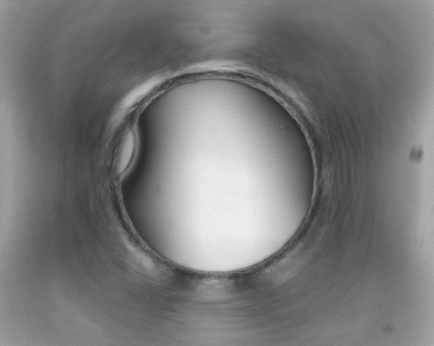 X0000092081406200709121056