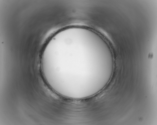 X0000092081408200709121056