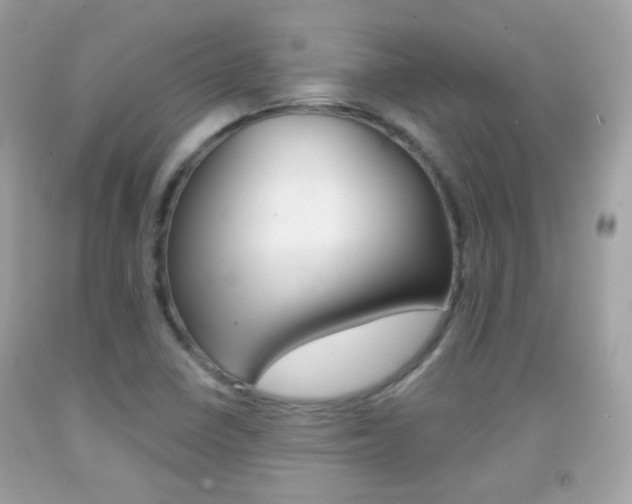 X0000092081410200709121056