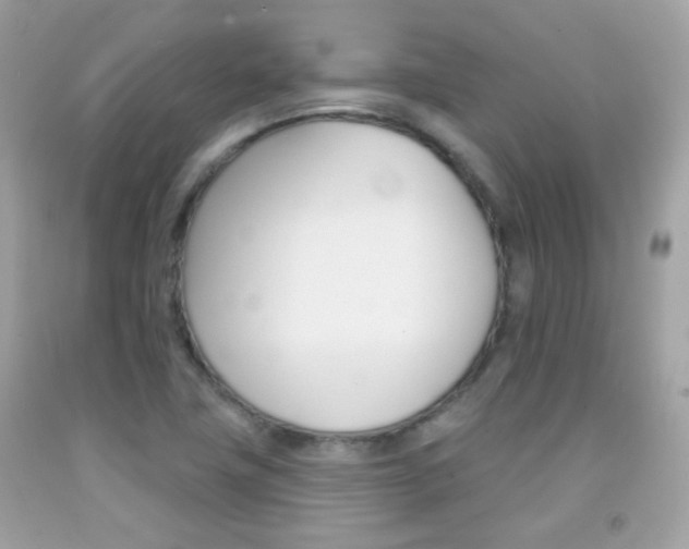 X0000092081411200709121056