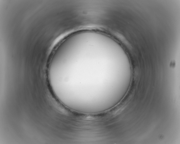X0000092081412200709121056