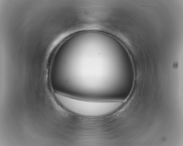 X0000092081414200709121056