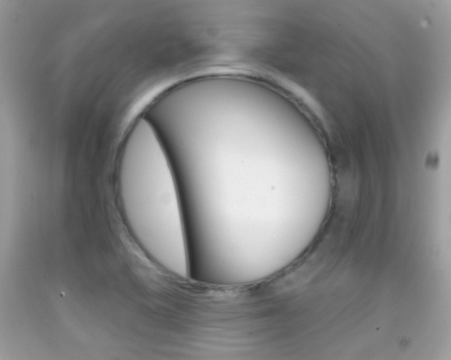 X0000092081415200709121056