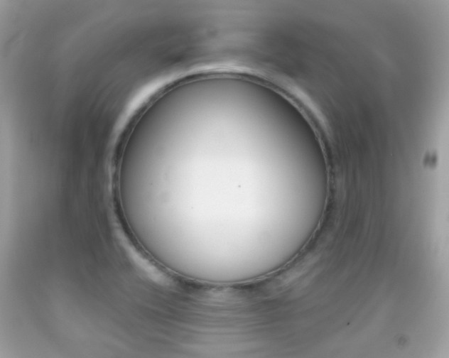 X0000092081416200709121056
