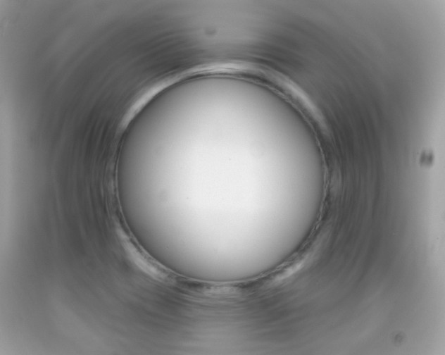 X0000092081417200709121056