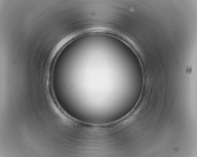 X0000092081418200709121056
