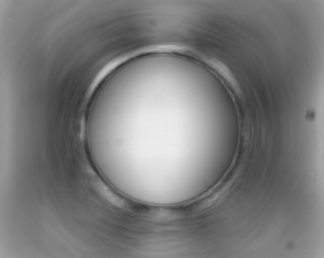 X0000092081420200709121056