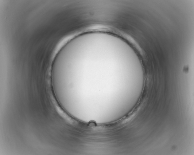 X0000092081421200709121056