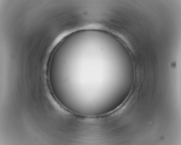 X0000092081422200709121056