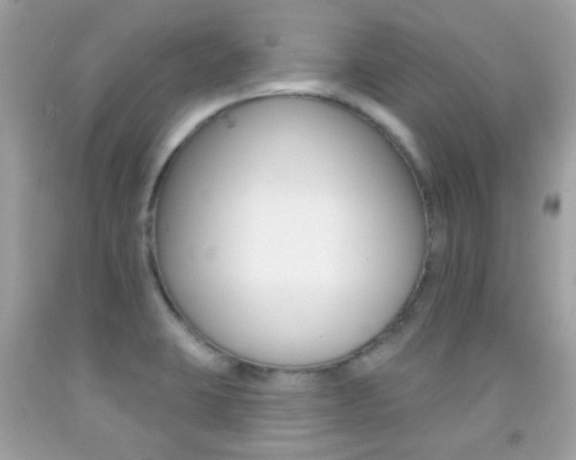 X0000092081423200709121056