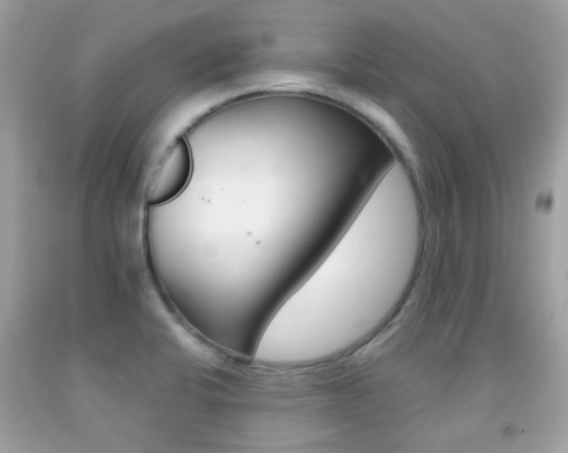 X0000092081424200709121056
