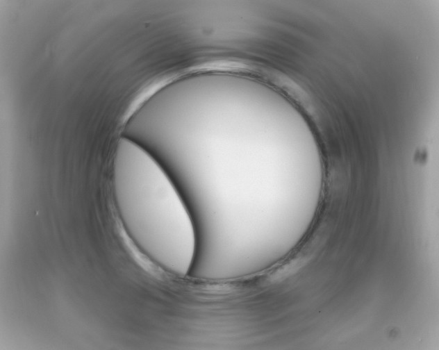 X0000092081425200709121056