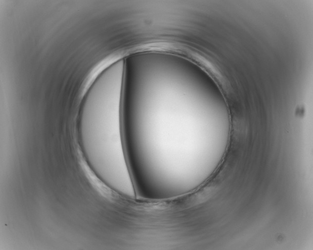 X0000092081426200709121056