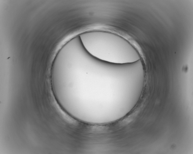 X0000092081429200709121056