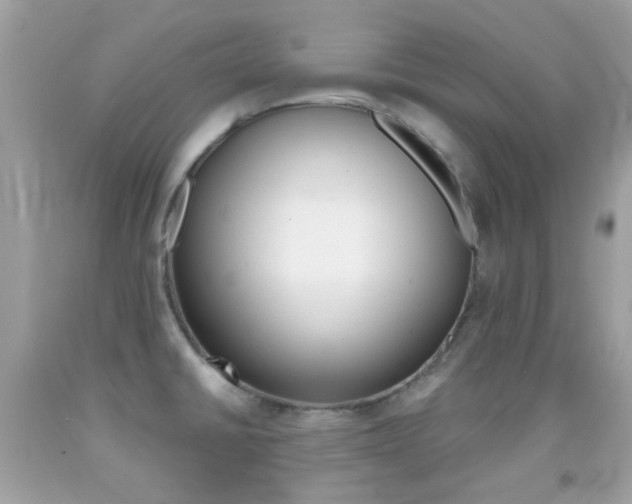 X0000092081430200709121057