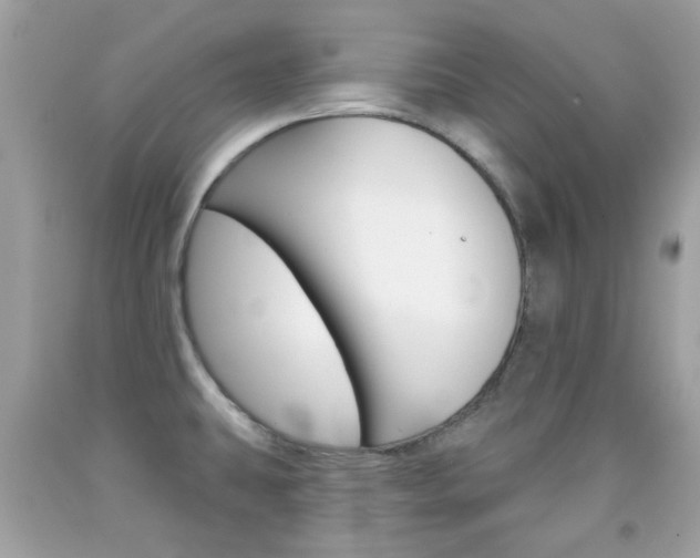 X0000092081431200709121057