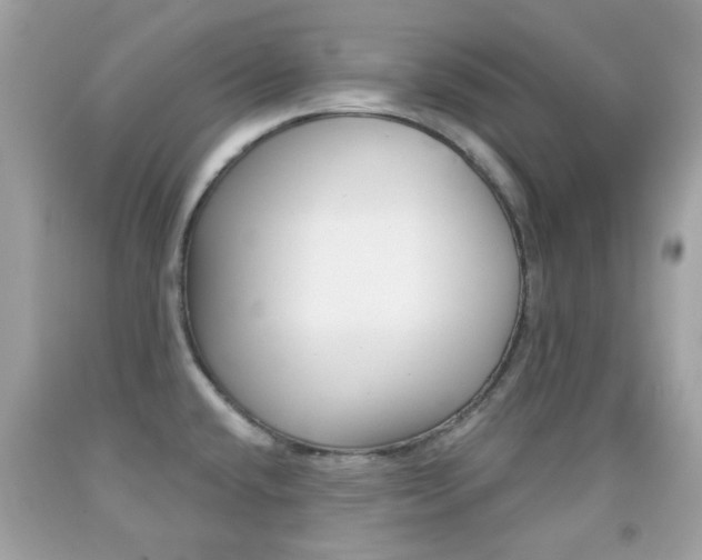 X0000092081432200709121057