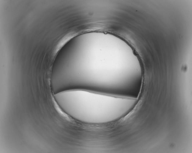 X0000092081433200709121057