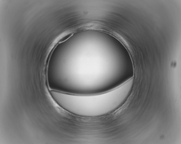 X0000092081434200709121057