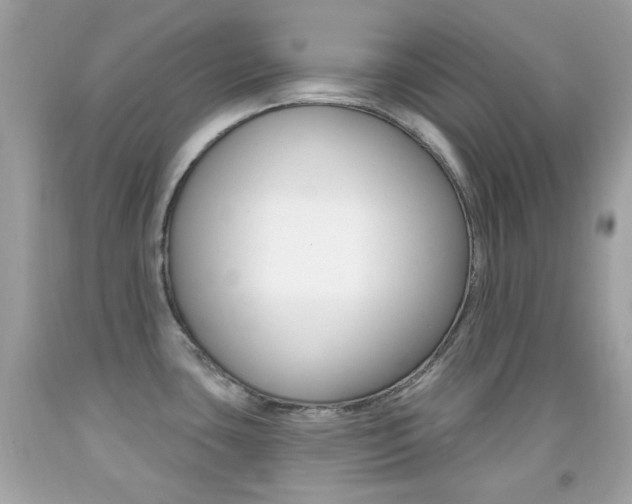 X0000092081435200709121057