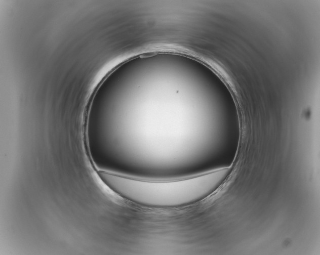X0000092081438200709121057