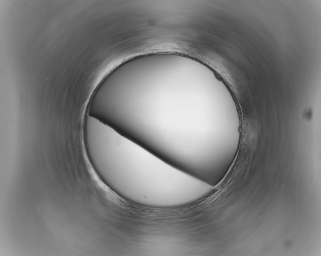 X0000092081439200709121057
