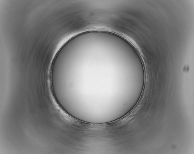 X0000092081440200709121057