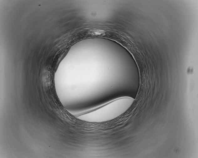 X0000092081442200709121056
