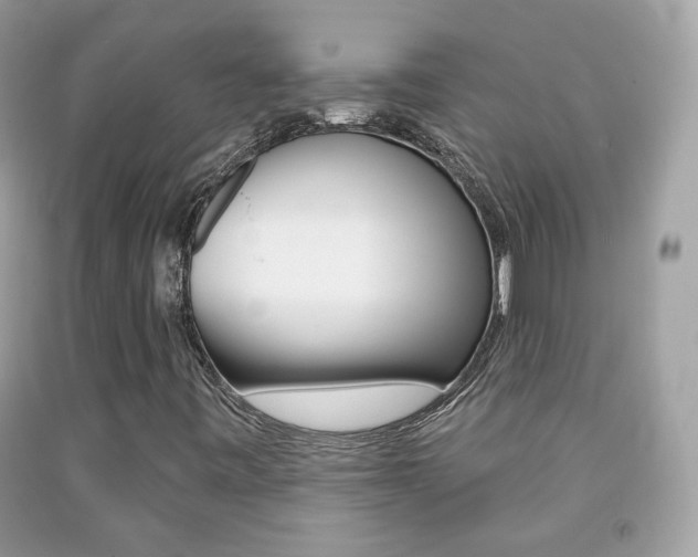 X0000092081443200709121056