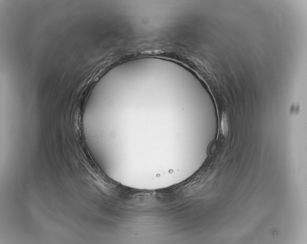X0000092081444200709121056