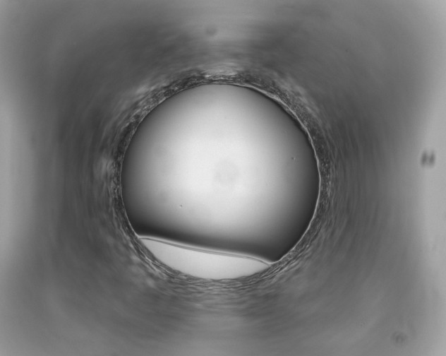 X0000092081445200709121056