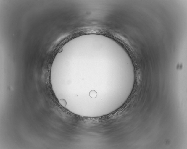 X0000092081446200709121056
