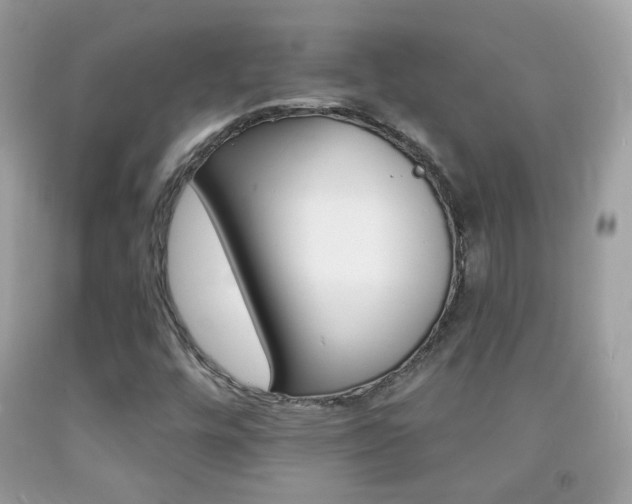 X0000092081448200709121056