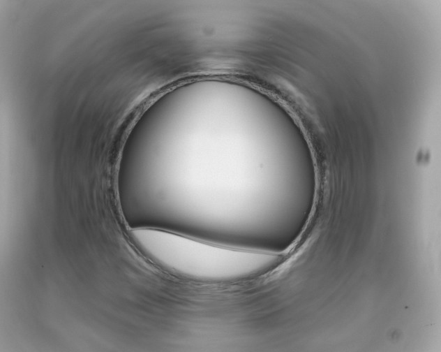 X0000092081449200709121056