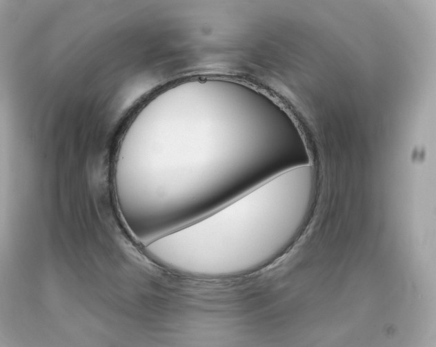 X0000092081450200709121056