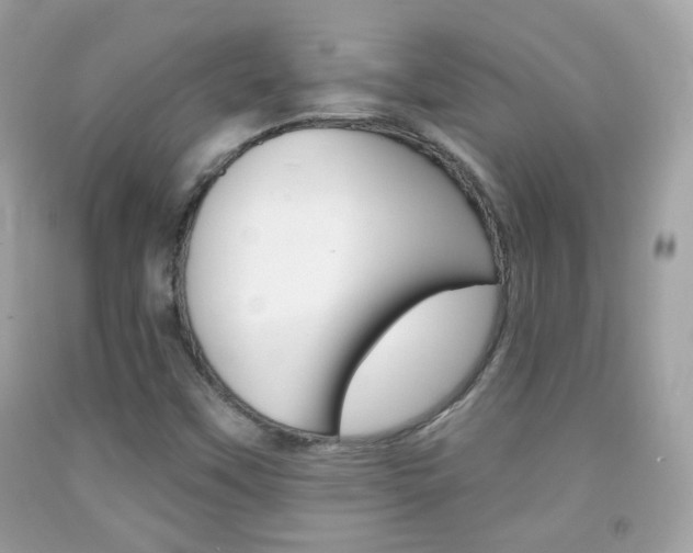 X0000092081451200709121056