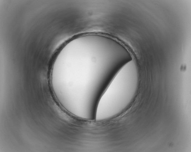 X0000092081452200709121056