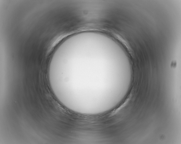 X0000092081453200709121056