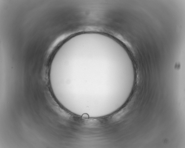X0000092081454200709121056